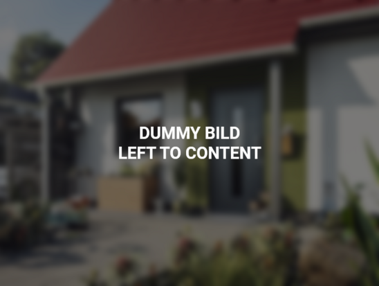 Dummy_Bild_03